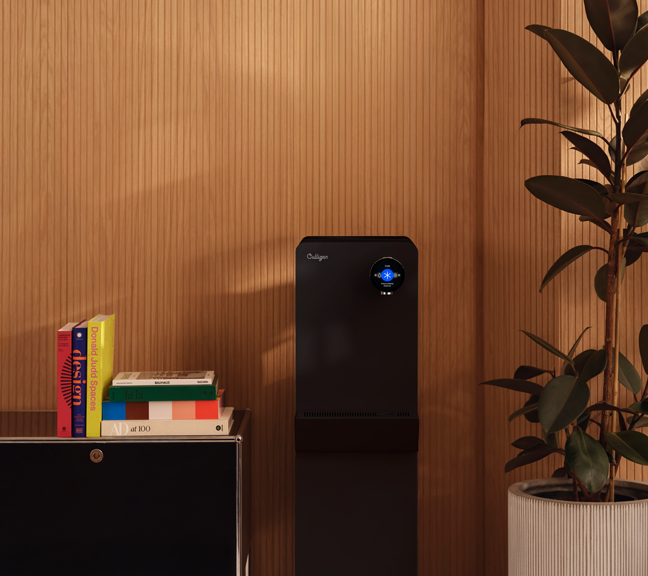 purity-prime-black-fs-slide-5