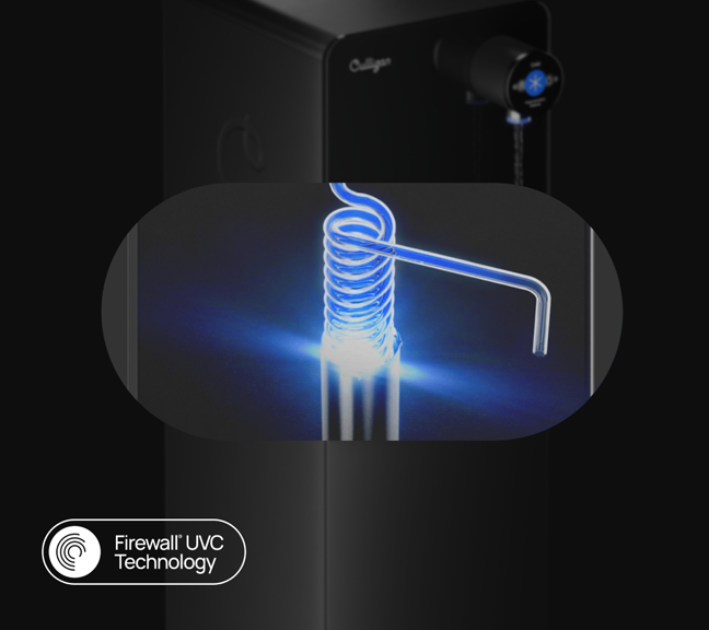 purity-prime-black-fs-slide-6